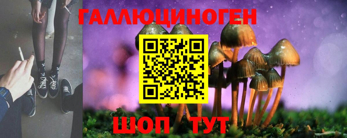 Псилоцибиновые грибы GOLDEN TEACHER  Вход с VPN  Тимашёвск 